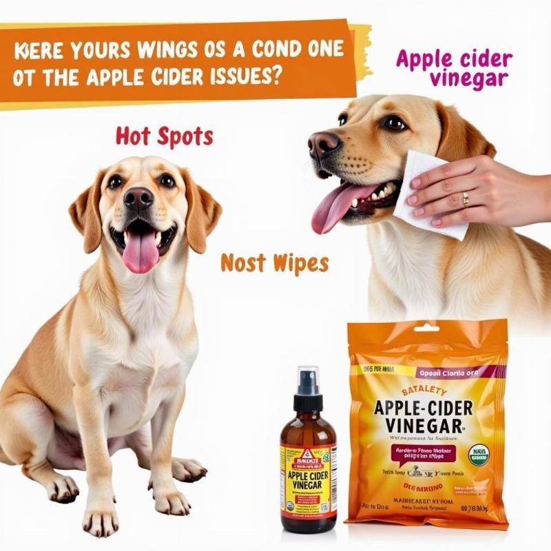 Benefits of Apple Cider Vinegar Dog Wipes