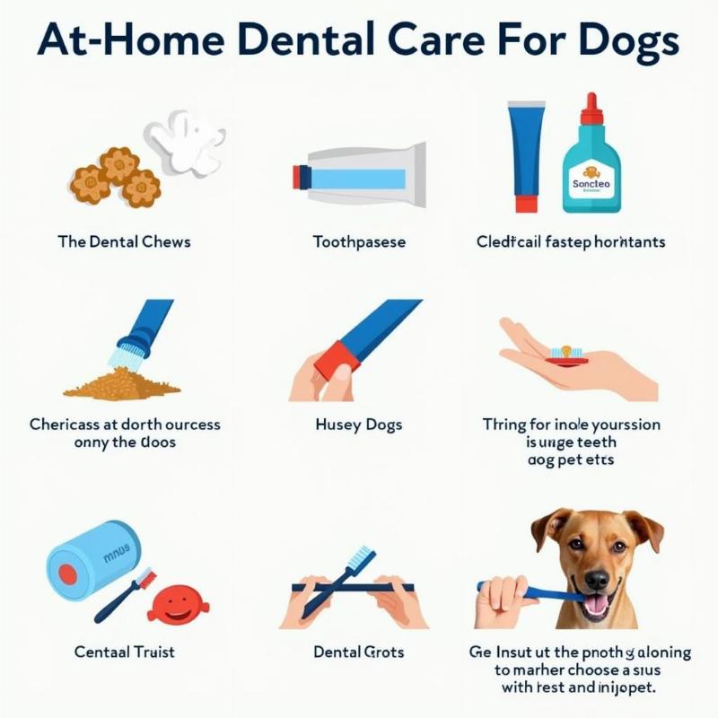 At-Home Dog Dental Care Tips