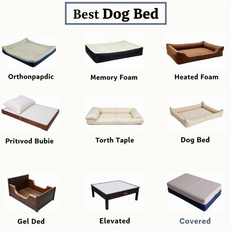 Different types of dog beds