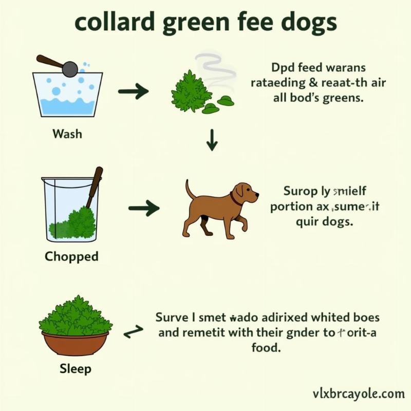 How to Cook Collard Greens for Dogs