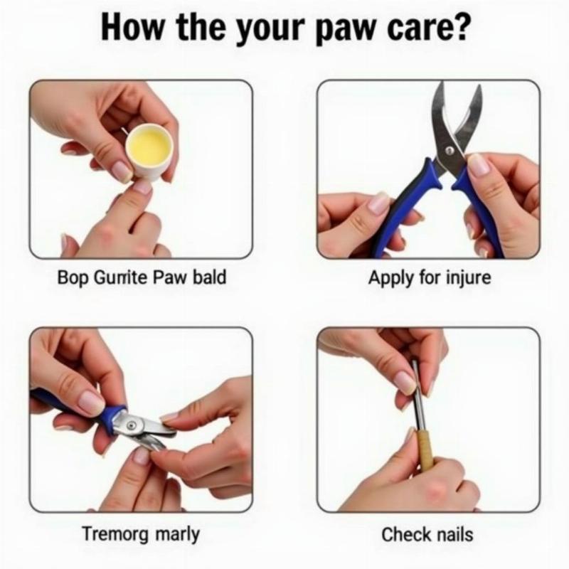 Caring for your dog's paws