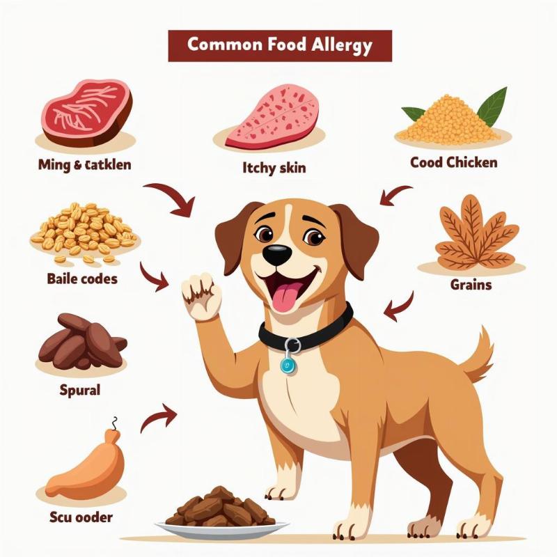 Dog with food allergies