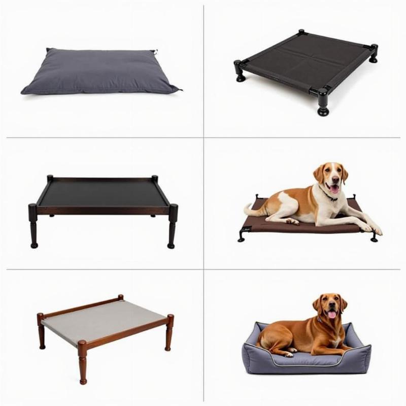 Choosing the Right Chew Proof Elevated Dog Bed