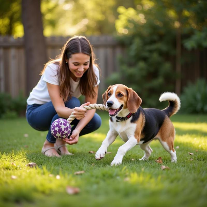 Owner playing with their dog using a ball on rope toy