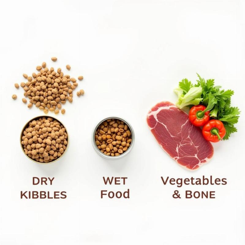 Different Types of Dog Food