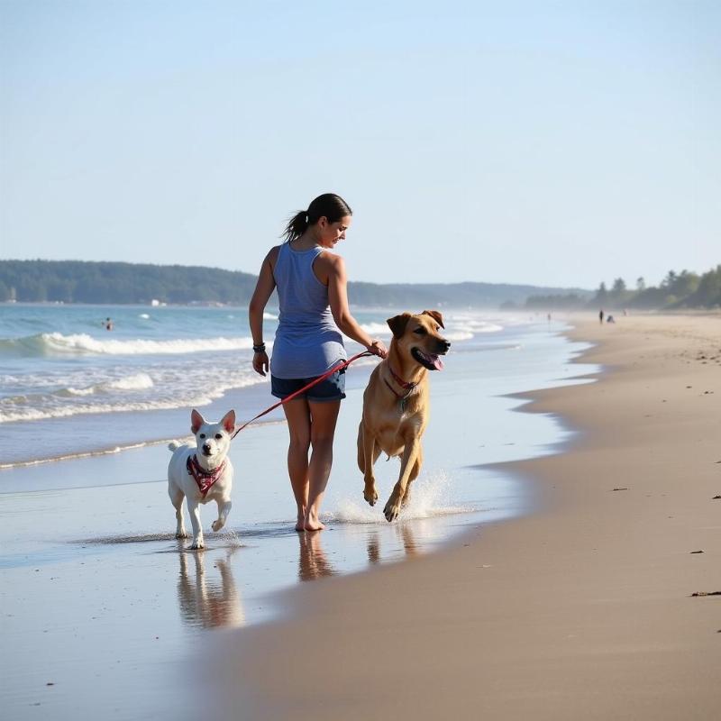 Dog and owner on a Kittery Beach