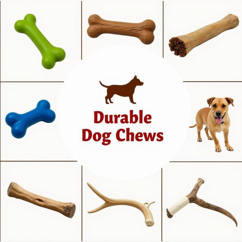 Dog Chews for Aggressive Chewers