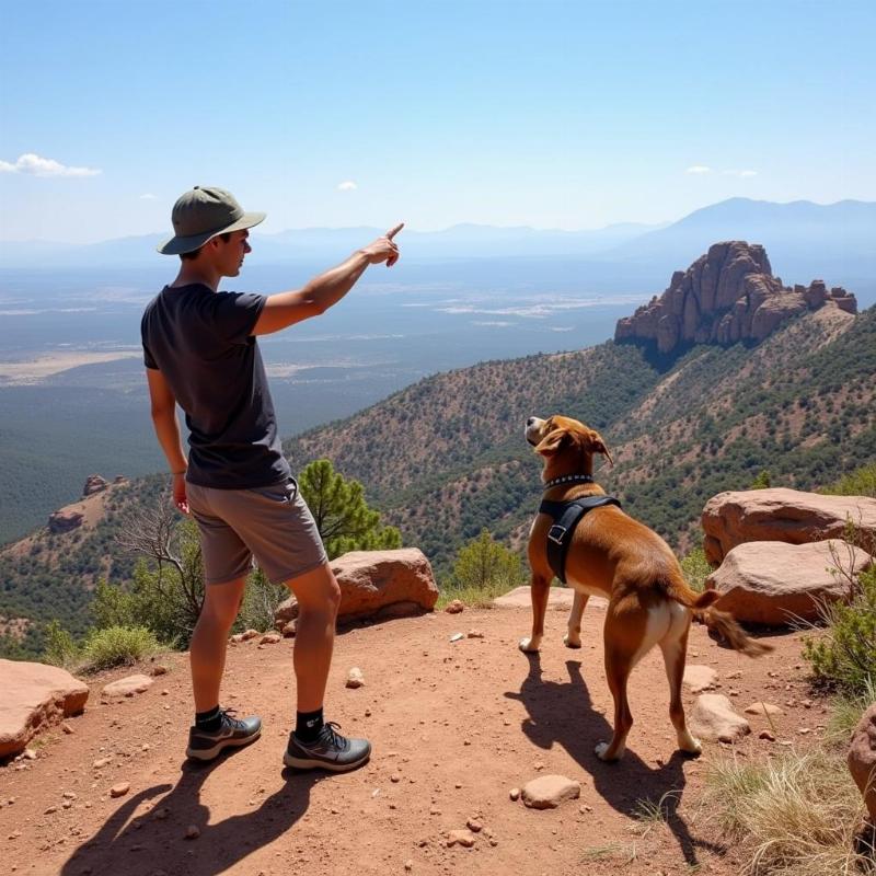 Chó đi bộ đường dài trên đường mòn Kruger Rock, Estes Park