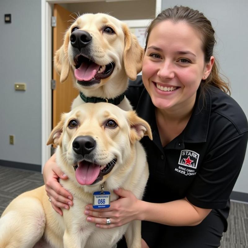 Happy Reunion After Dog Gets Lost Thanks to License