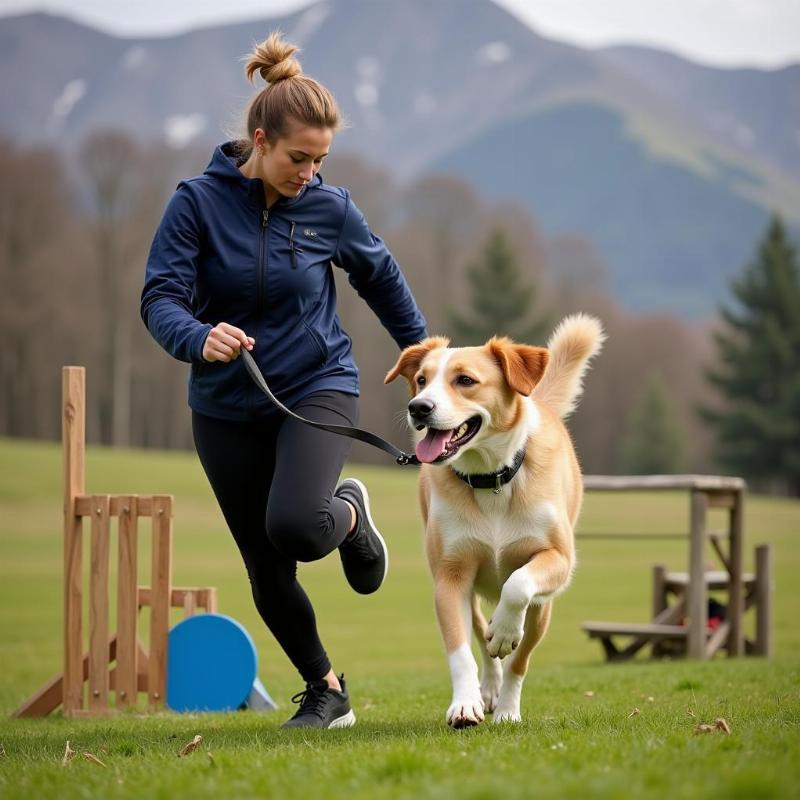 Dog Training: Obedience and Agility