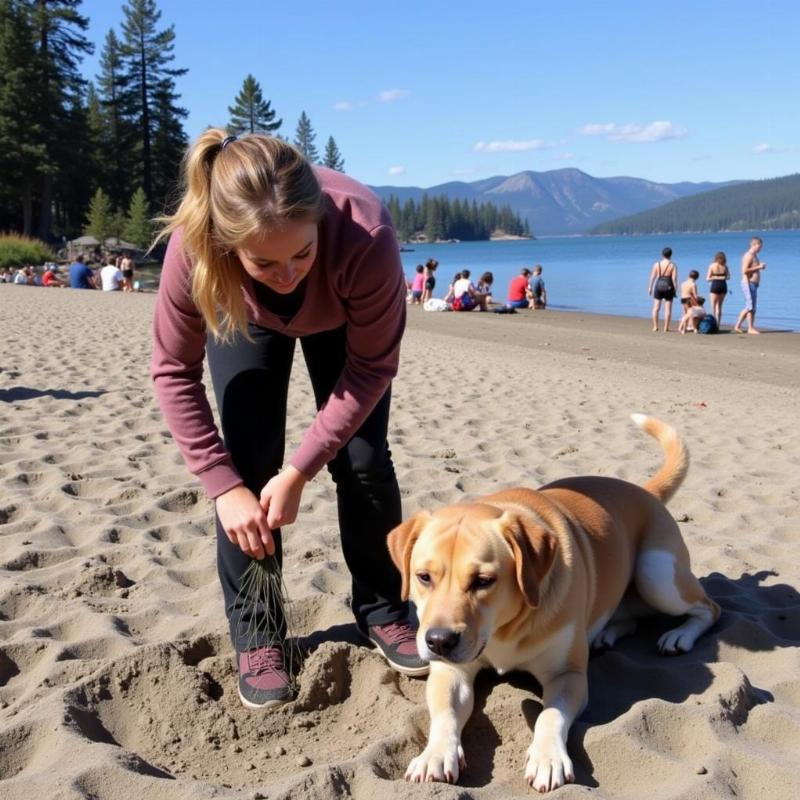 Dog-Friendly Beach Etiquette at Donner Lake