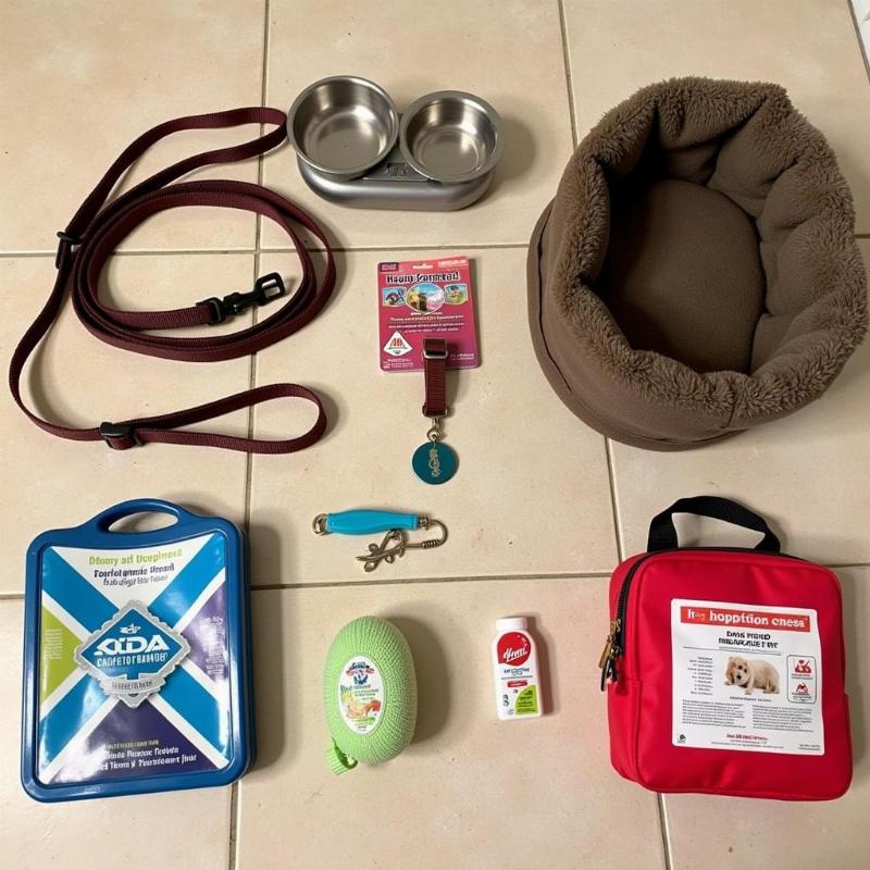 Preparing Supplies for an Emergency Foster Dog