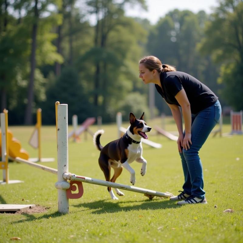 Professional Dog Training in Holly Springs