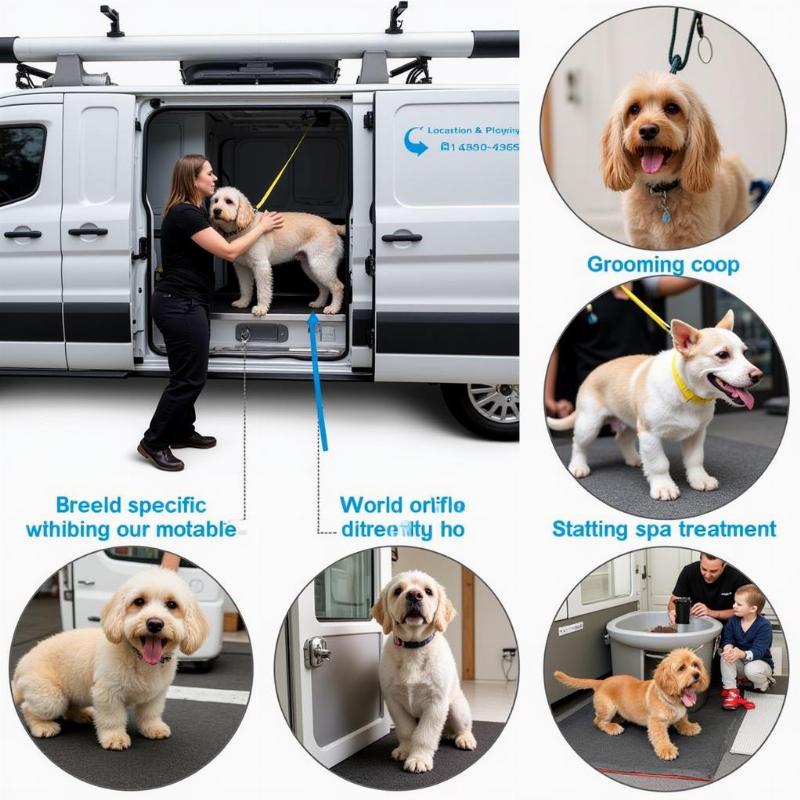 Various Services Offered by Mobile Dog Groomers in Wichita Falls