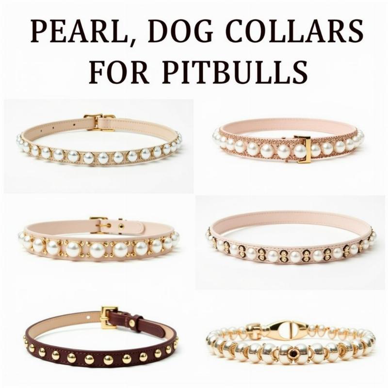 Different Styles of Pearl Dog Collars for Pitbulls