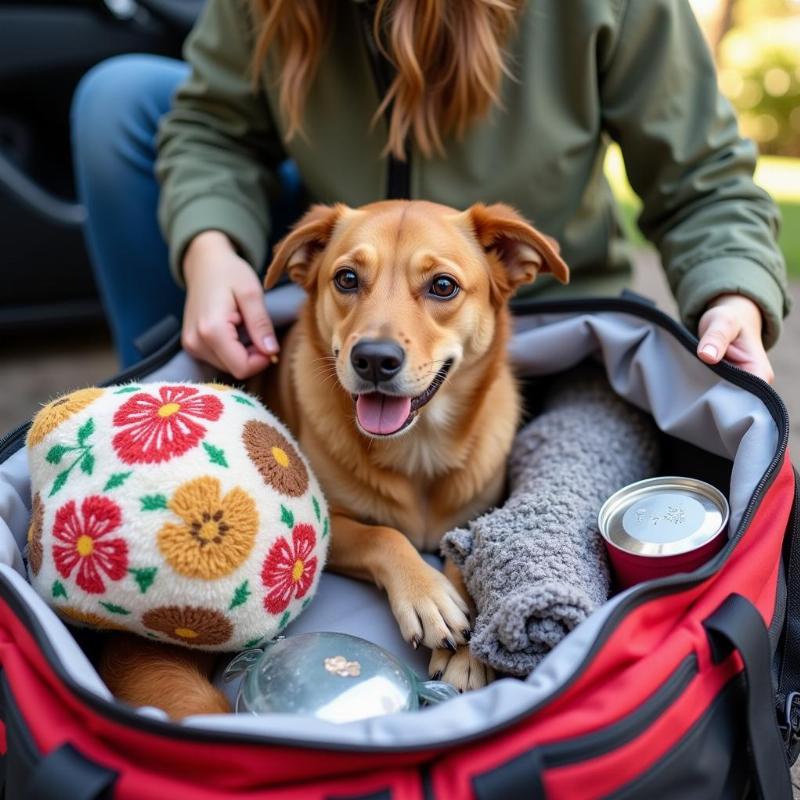 Preparing Dog for Boarding in Agoura Hills