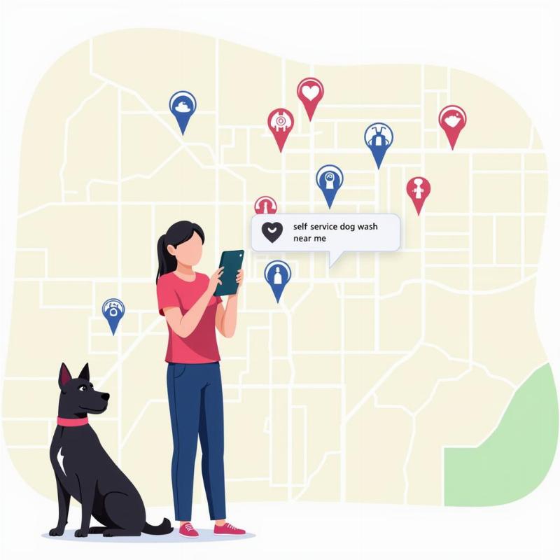 Searching for Self-Service Dog Wash in Denver CO