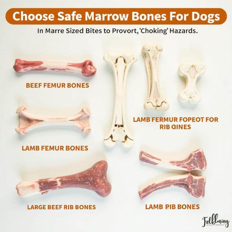 Safe Marrow Bones for Dogs